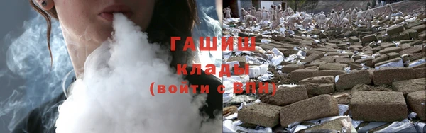 прущие грибы Наволоки
