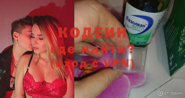 прущие грибы Наволоки