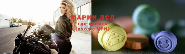 прущие грибы Наволоки