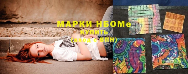 прущие грибы Наволоки