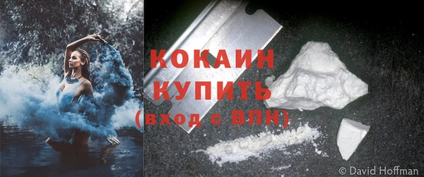 прущие грибы Наволоки