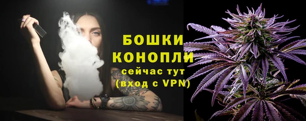 прущие грибы Наволоки